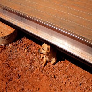 Modwood Xtreme Guard Decking