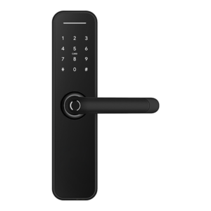 Austyle Digital Smart Entrance Set 59405 - Smart Lock with Latch