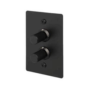2G Dimmer Vertical (Buster & Punch)