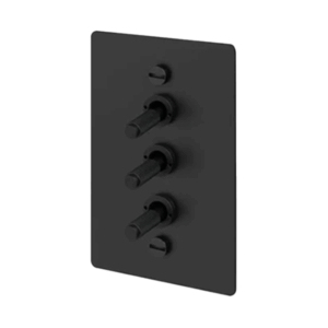 3G Toggle Switch Vertical (Buster & Punch)