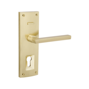 Epic Knox Entrance Levers (Zanda)